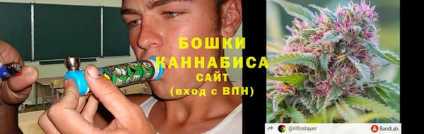 крисы Бугульма