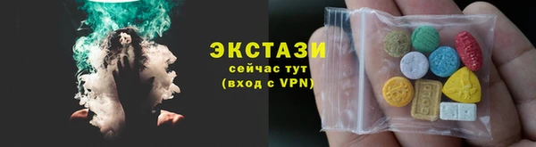 индика Богданович