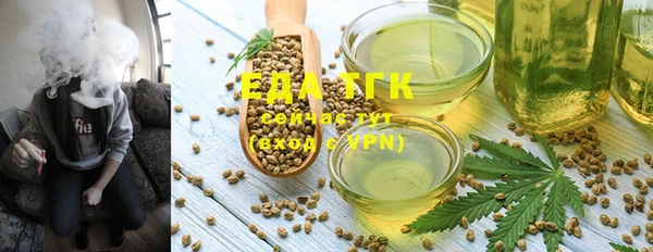 индика Богданович