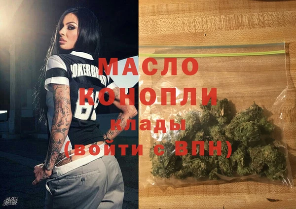 индика Богданович