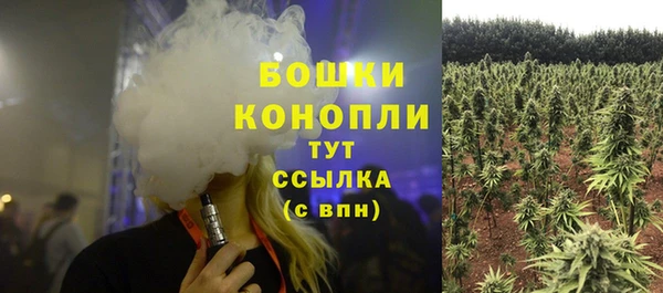 спайс Беломорск