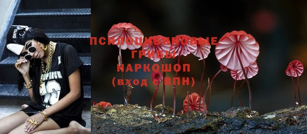 индика Богданович