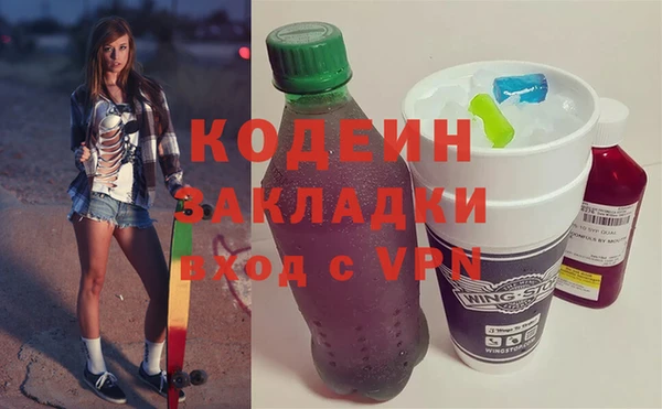 индика Богданович