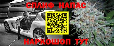 молекула духа Бийск