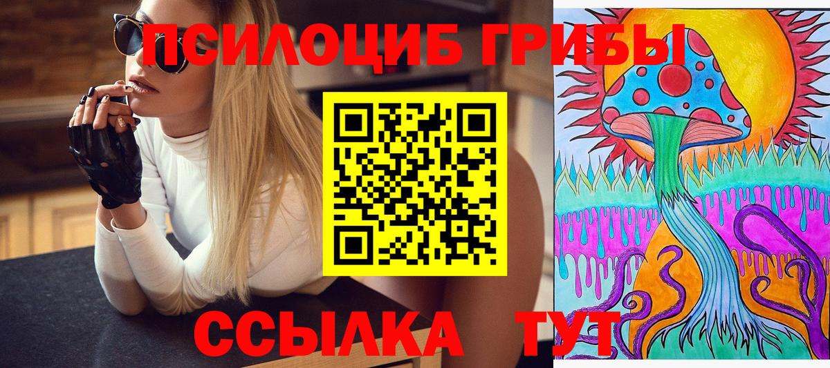 Галлюциногенные грибы мицелий  Дагестанские Огни  Псилоцибиновые грибы MAGIC MUSHROOMS 