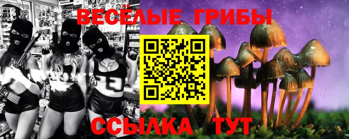 Псилоцибиновые грибы Psilocybine cubensis  Вход с VPN  Дагестанские Огни 